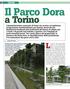 Il Parco Dora. a Torino. La città di Torino sta trasformando