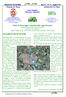 Newsletter del CeMAV Anno 4 - N luglio 2011 Comune di Pavia. Centro Regionale Educazione Ambientale