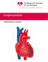 Fondazione Svizzera di Cardiologia. Con impegno contro le cardiopatie e l ictus cerebrale. L angina pectoris. Informazioni per i pazienti