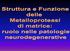 Sono endopeptidasi zinco e calcio dipendenti che degradano i componenti della matrice extracellulare (ECM) e risultano coinvolte in numerosi processi