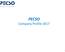 PECSO Company Profile 2017