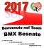 La vita del Team Il suo funzionamento Le regole di base del BMX Regolamento Pista