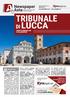 TRIBUNALE LUCCA VENDITE IMMOBILIARI E FALLIMENTARI.   Abitazioni e box COPIA GRATUITA N.