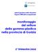 La presente scheda è stata curata da Giorgio Plazzi, ricercatore dell Agenzia regionale del lavoro della Regione Autonoma Friuli Venezia Giuia.