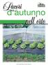 d autunno nell orto 2015 Copyright Edizioni L'Informatore Agrario S.r.l.