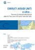 EMIRATI ARABI UNITI e oltre Percorso di internazionalizzazione Jebel Ali Free zone-hub verso l area del Golfo