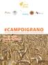 #CAMPDIGRANO. Settimana di alfabetizzazione rurale e innovazione sociale luglio Caselle in Pittari Cilento - Italia