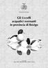 Gli Uccelli acquatici svernanti in provincia di Rovigo
