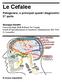 Le Cefalee. Patogenesi, e principali quadri diagnostici 2^ parte