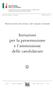 Istruzioni per la presentazione e l ammissione delle candidature
