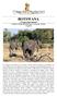 BOTSWANA Il regno degli animali I Parchi, il Delta dell Okavango e le cascate Victoria 12 giorni