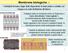 Membrane biologiche (1)