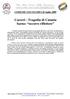 Carceri - Tragedia di Catania Sarno: occorre riflettere