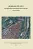BORGHI NUOVI. Paesaggi urbani del Piemonte sud occidentale. xiii xv secolo