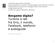 Bergamo digita? Turismo e reti. Facebook, telefonini e audioguide. Roberto Peretta