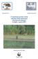 I Vertebrati terrestri censiti nell Oasi WWF di Persano (Provincia di Salerno) in luglio e agosto 2003
