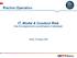 Rischio Operativo. IT, Model & Conduct Risk Aree di sovrapposizione e possibili approcci metodologici. Roma, 21 Giugno 2016