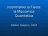 Incontriamo la Fisica: la Meccanica Quantistica. Stefano Spagocci, GACB