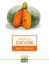 catalogo ZUCCHE Squash Catalogue