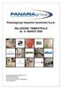 Panariagroup Industrie Ceramiche S.p.A. RELAZIONE TRIMESTRALE AL 31 MARZO 2006