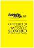 CONCERTI DI MUSICA DA CAMERA SONORO MAGGIO 2013 // AREZZO