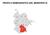 PROFILO DEMOGRAFICO DEL MUNICIPIO IX