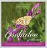 (ex Monocotiledones), Subclasse Liliidae, Ordine Orchidales, Famiglia Orchidaceae. Secondo il loro sistema di vita e di assunzione
