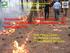 Simulazione di comportamento del fuoco: applicazione all esecuzione del fuoco prescritto