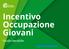 Incentivo Occupazione Giovani