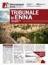 TRIBUNALE ENNA VENDITE IMMOBILIARI E FALLIMENTARI.   Abitazioni e box TRIBUNALE DI ENNA