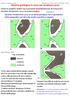 Sezione geologica in aree con strutture curve