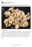 La tempura. Trucchi e segreti del fritto giapponese