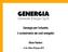 Genergia per l industria: il contenimento dei costi energetici. Ettore Piantoni