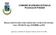 COMUNE DI ORSARA DI PUGLIA Provincia Di FOGGIA. REGOLAMENTO PER L ESECUZIONE DEI LAVORI IN ECONOMIA (Art. 125 del D. Lgs 12/4/2006, n.