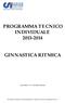 PROGRAMMA TECNICO INDIVIDUALE