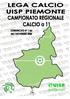 CAMPIONATO REGIONALE CALCIO A 11