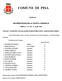 COMUNE DI PISA ORIGINALE DELIBERAZIONE DELLA GIUNTA COMUNALE. Delibera n. 87 Del 13 Aprile 2010
