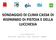 SONDAGGIO DI CLIMA CASSA DI RISPARMIO DI PISTOIA E DELLA LUCCHESIA. A cura delle OO.SS FISAC CGIL FIRST CISL FABI UILCA UIL UNISIN