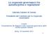 La corporate governance tra autodisciplina e regolazione