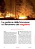 La gestione delle biomasse e il fenomeno dei megafires