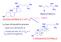 R ERGOSTEROLO OLECALCIFEROLO O VIT D 3. La luce ultravioletta provoca - Apertura dell anello B - Insaturazione fra il C 10 e il C 19 (metile angolare)