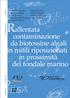 Rallentata. contaminazione da biotossine algali in mitili riposizionati in prossimità del fondale marino