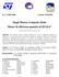 Single Photon Avalanche Diode Misure di efficienza quantica di SPAD 6