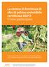 La catena di fornitura di olio di palma sostenibile certificata RSPO: Come partecipare