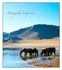 Mongolia Odyssey Tour overland alla scoperta dei gioielli della Mongolia