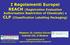 I Regolamenti Europei REACH (Registration Evaluation Authorisation Restriction of Chemicals) e CLP (Classification Labelling Packaging)