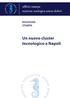 RASSEGNA STAMPA. Un nuovo cluster tecnologico a Napoli