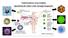 Trasformazione virus-mediata Specificità dei vettori virali: bersagli terapeutici