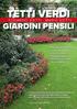 Abstract tratto da Edoardo Vietti, Mario Vietti - Tetti Verdi e Giardini Pensili - Tutti i diritti riservati - Dario Flaccovio editore