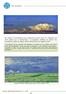 Nubi che passione! Vincent Van Gogh, Campo di grano sotto il cielo nuvoloso, 1890
